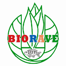 Biorave